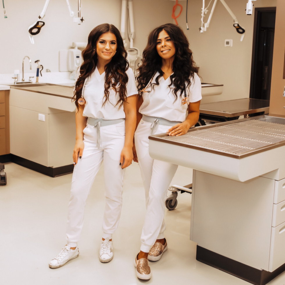 Vetique Chic Veterinarian In Chicago, IL 60610